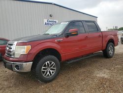 Salvage trucks for sale at Mercedes, TX auction: 2009 Ford F150 Supercrew