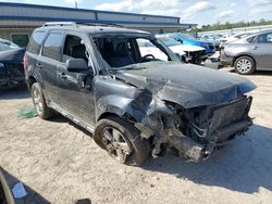 Salvage cars for sale at Harleyville, SC auction: 2010 Ford Escape Limited
