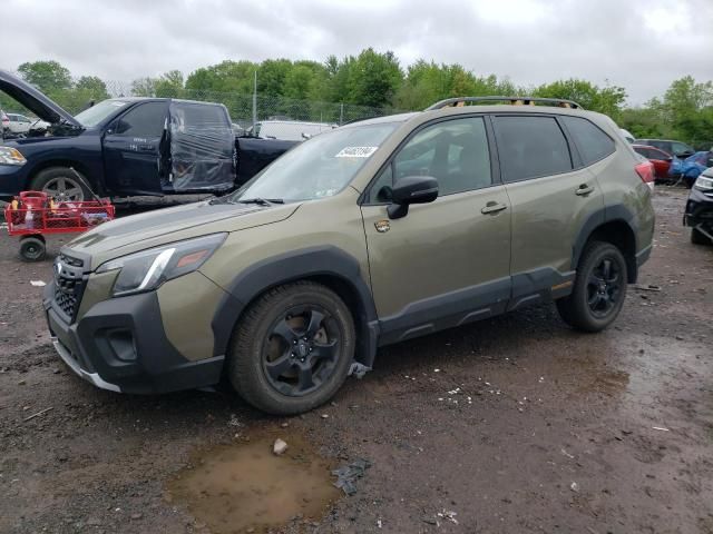 2023 Subaru Forester Wilderness