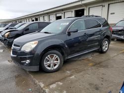 Salvage SUVs for sale at auction: 2010 Chevrolet Equinox LT