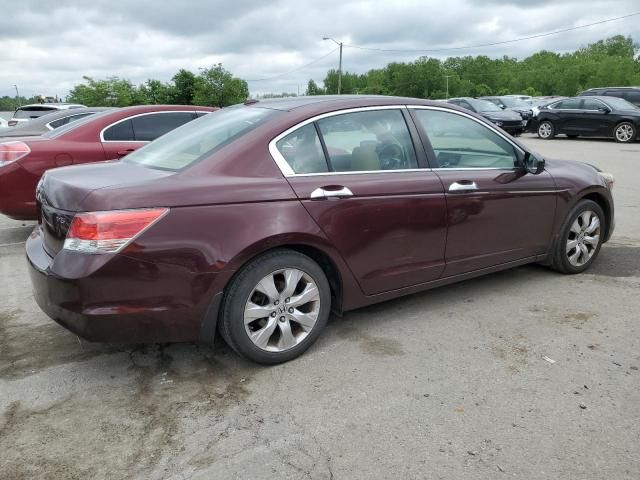 2010 Honda Accord EXL