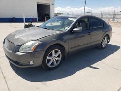 Salvage cars for sale from Copart Farr West, UT: 2005 Nissan Maxima SE