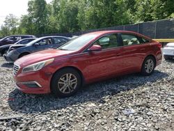 Salvage cars for sale at Waldorf, MD auction: 2015 Hyundai Sonata SE