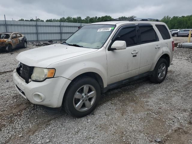 2011 Ford Escape Limited