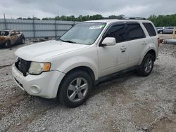 Salvage cars for sale from Copart Louisville, KY: 2011 Ford Escape Limited