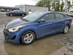 Salvage cars for sale at Arlington, WA auction: 2015 Hyundai Elantra SE