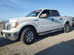 Salvage trucks for sale at North Las Vegas, NV auction: 2012 Ford F150 Supercrew