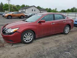 Salvage cars for sale at York Haven, PA auction: 2016 Nissan Altima 2.5