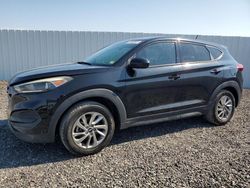 Hyundai Tucson SE Vehiculos salvage en venta: 2016 Hyundai Tucson SE