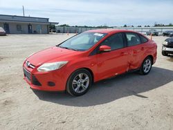 Salvage cars for sale at auction: 2013 Ford Focus SE