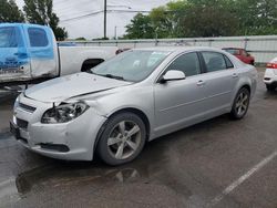 Chevrolet Malibu 1LT Vehiculos salvage en venta: 2011 Chevrolet Malibu 1LT