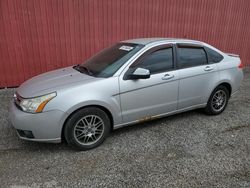 Salvage cars for sale from Copart London, ON: 2010 Ford Focus SE
