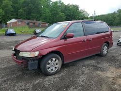 Salvage cars for sale from Copart Finksburg, MD: 2004 Honda Odyssey EXL