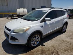 Salvage cars for sale from Copart Tucson, AZ: 2014 Ford Escape SE
