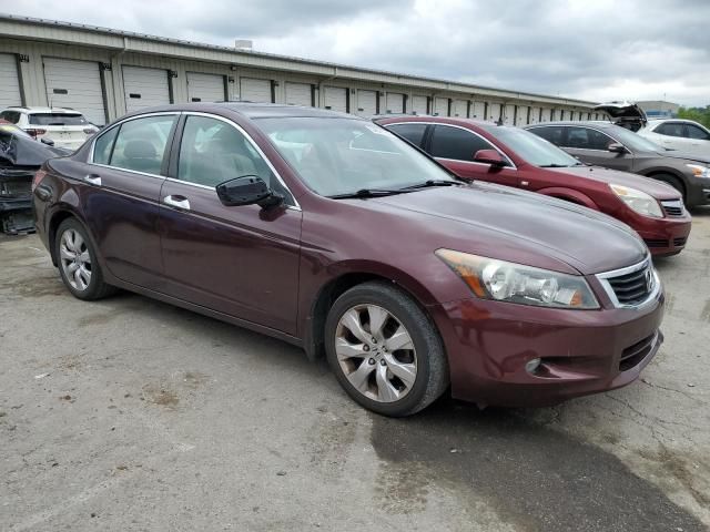 2010 Honda Accord EXL