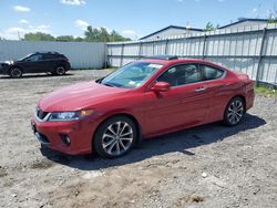 Vehiculos salvage en venta de Copart Albany, NY: 2013 Honda Accord EXL