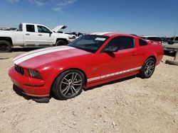 Salvage cars for sale at Amarillo, TX auction: 2005 Ford Mustang GT