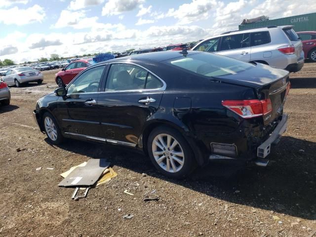 2010 Lexus ES 350