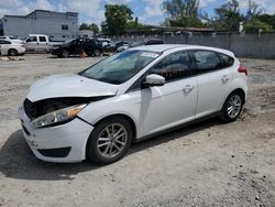 Salvage cars for sale at Opa Locka, FL auction: 2016 Ford Focus SE