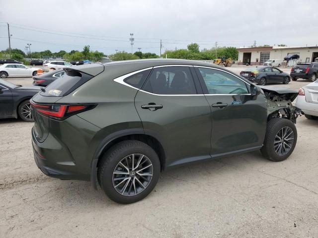 2023 Lexus NX 250