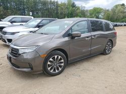 Salvage cars for sale at North Billerica, MA auction: 2022 Honda Odyssey EXL