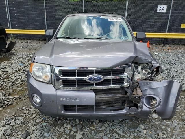 2008 Ford Escape XLT