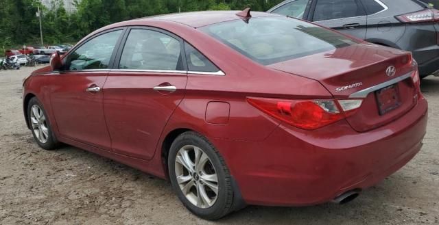 2011 Hyundai Sonata SE