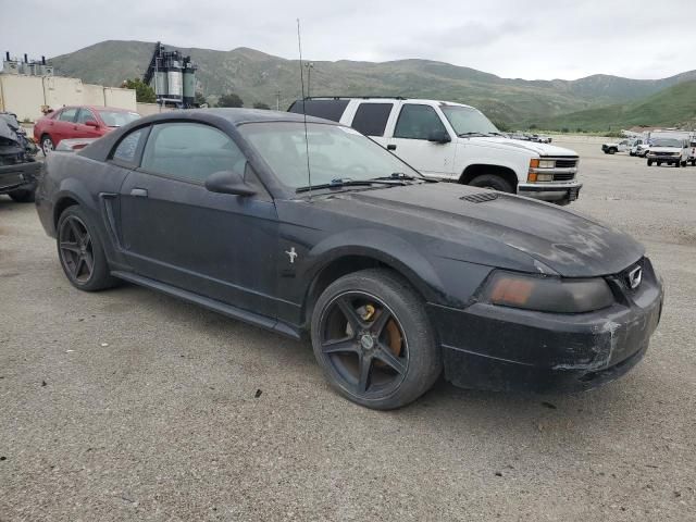 2000 Ford Mustang