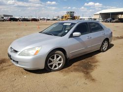 Salvage cars for sale from Copart Brighton, CO: 2003 Honda Accord EX