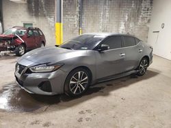 Salvage cars for sale from Copart Chalfont, PA: 2022 Nissan Maxima SV