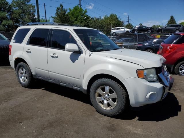 2011 Ford Escape Limited