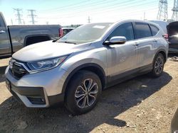 Salvage cars for sale from Copart Elgin, IL: 2020 Honda CR-V EXL