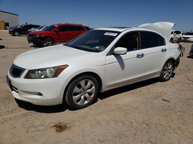 2010 Honda Accord EXL