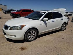 Salvage cars for sale at Amarillo, TX auction: 2010 Honda Accord EXL