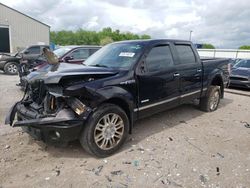 Salvage trucks for sale at Lawrenceburg, KY auction: 2013 Ford F150 Supercrew