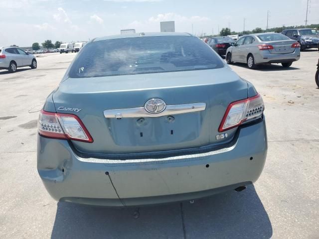 2010 Toyota Camry Hybrid