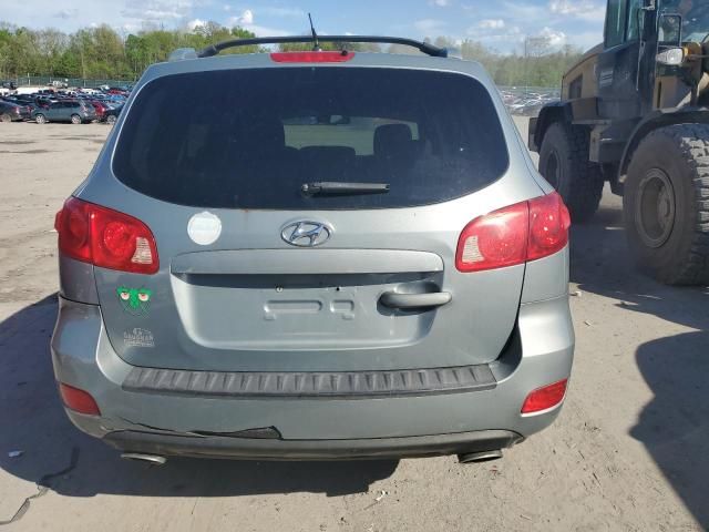 2007 Hyundai Santa FE SE