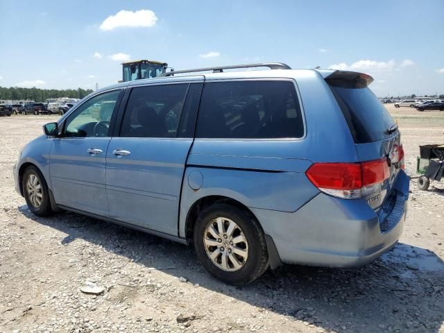 2008 Honda Odyssey EXL