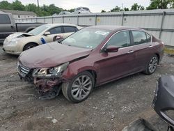 Salvage cars for sale at York Haven, PA auction: 2015 Honda Accord Sport