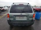 2007 Ford Escape XLT