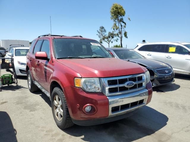 2010 Ford Escape Limited