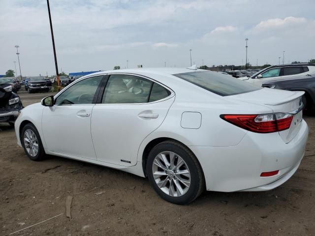 2014 Lexus ES 300H