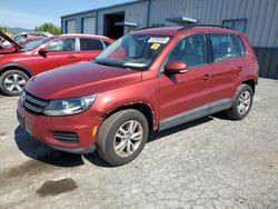 Volkswagen Tiguan s salvage cars for sale: 2016 Volkswagen Tiguan S