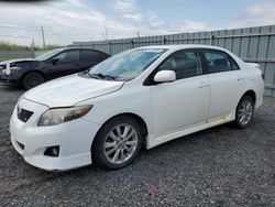 Salvage cars for sale from Copart Ottawa, ON: 2009 Toyota Corolla Base