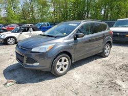 Salvage cars for sale at Candia, NH auction: 2016 Ford Escape SE