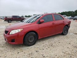 Toyota salvage cars for sale: 2009 Toyota Corolla Base