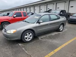 Salvage cars for sale from Copart Louisville, KY: 2003 Ford Taurus SE