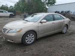 Salvage cars for sale at Baltimore, MD auction: 2008 Toyota Camry Hybrid