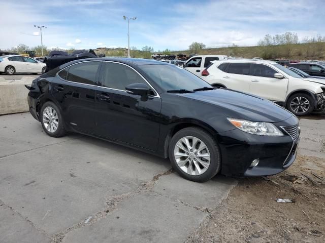 2013 Lexus ES 300H