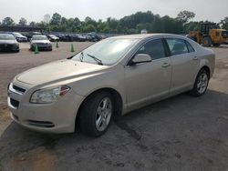 Salvage cars for sale at Florence, MS auction: 2010 Chevrolet Malibu 1LT